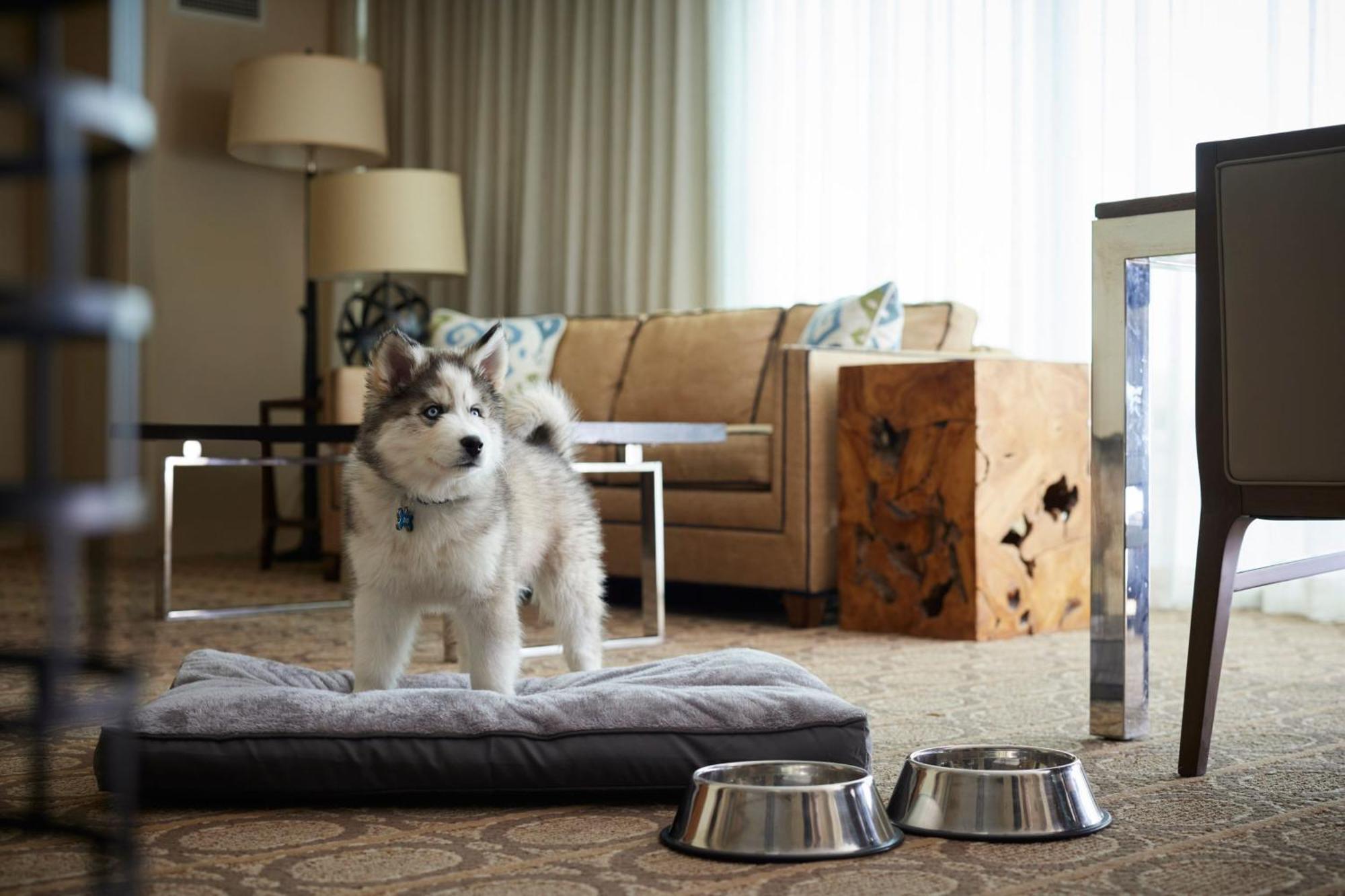 Denver Marriott Westminster Bagian luar foto